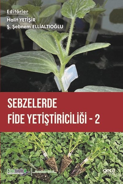 Sebzelerde Fide Yetiştiriciliği - 2