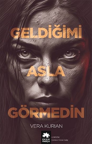 Geldiğimi Asla Görmedin