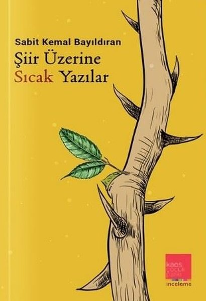 Şiir Üzerine Sıcak Yazılar