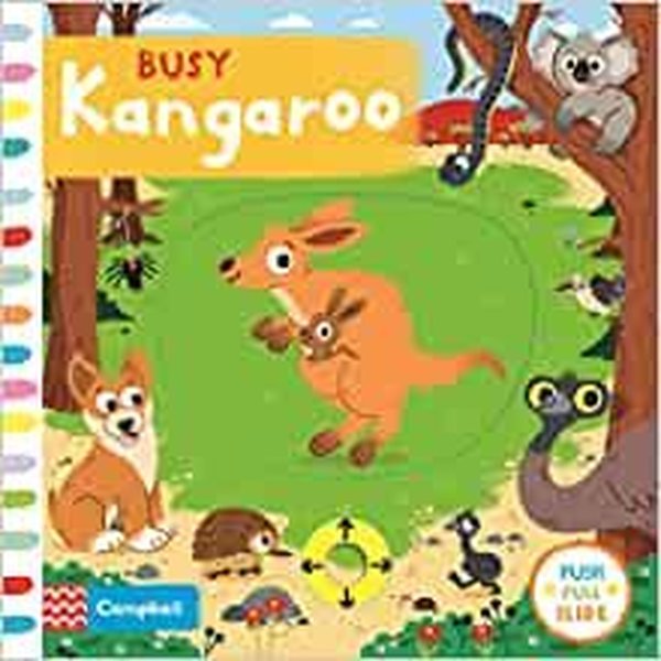 Busy Kangaroo