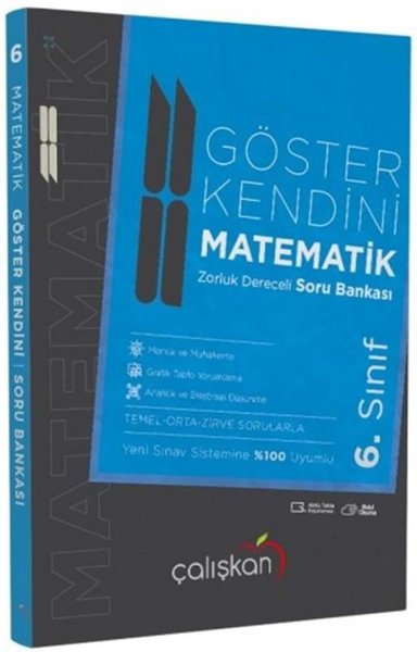 6. Sınıf Matematik Göster Kendini Soru Bankası