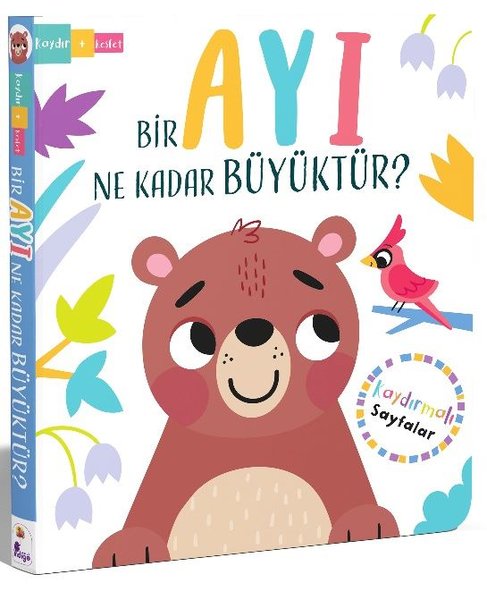 Bir Ayı Ne Kadar Büyüktür? Kaydır Keşfet