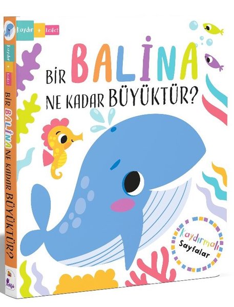 Bir Balina Ne Kadar Büyüktür? Kaydır Keşfet