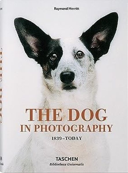 The Dog in Photography 1839-Today