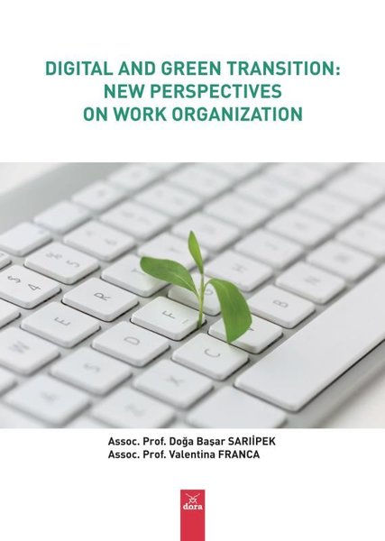 Digital and Green Transition New Perspectives On Work Organization