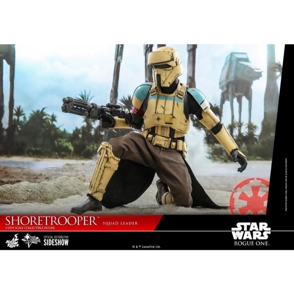 Hot Toys Shoretrooper Squad Leader Sixth Scale Figure