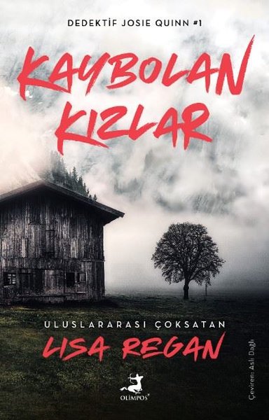 Kaybolan Kızlar - Dedektif Joise Quinn 1