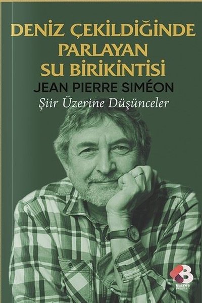 Deniz Çekildiğinde Parlayan Su Birikintisi - Şiir Üzerine Düşünceler