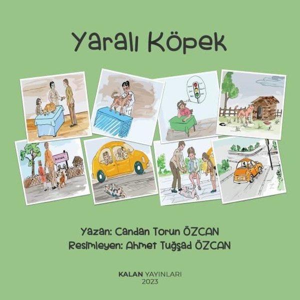 Yaralı Köpek