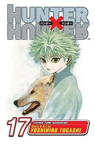 Hunter x Hunter, Vol. 17 (Hunter X Hunter)