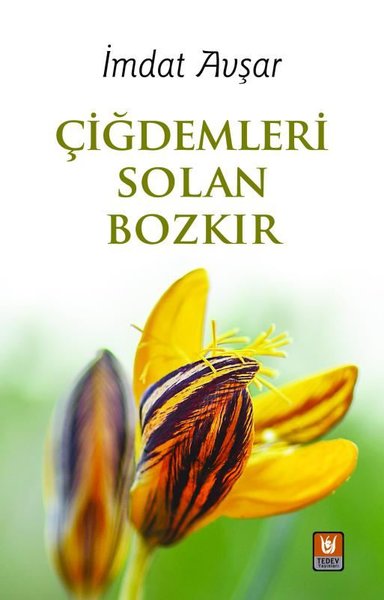 Çiğdemleri Solan Bozkır