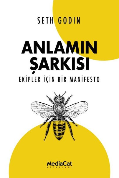 Anlamın Şarkısı - Ekipler İçin Bir Manifesto