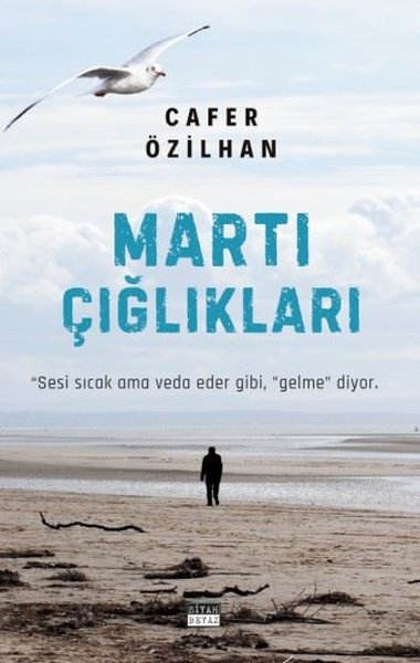 Martı Çığlıkları