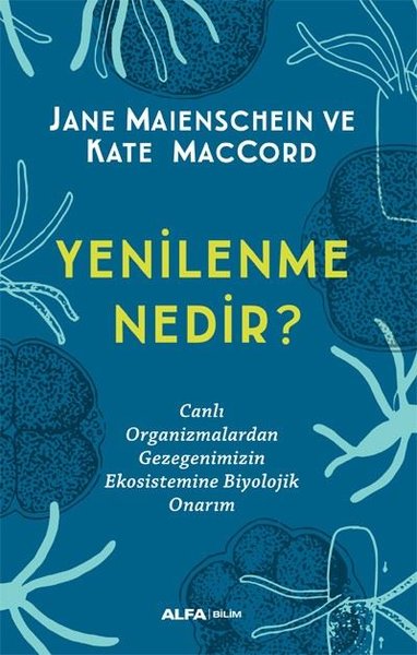 Yenilenme Nedir?