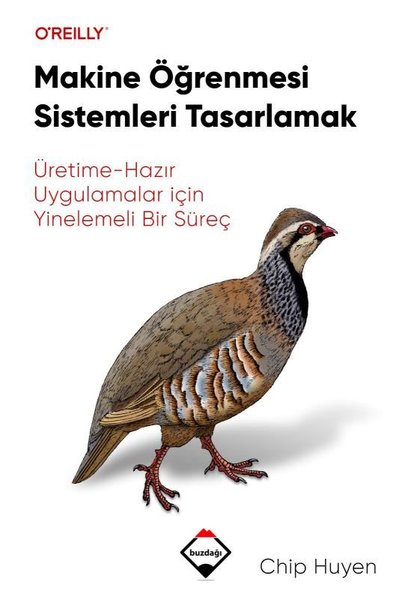 Makine Öğrenmesi Sistemleri Tasarlamak: Üretime - Hazır Uygulamalar İçin Yinelemeli Bir Süreç