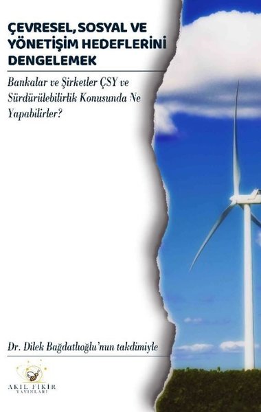 Çevresel, Sosyal ve Yönetişim Hedeflerini Dengelemek - Bankalar ve Şirketler ÇSY ve Sürdürülebilirlik Konusunda Ne Yapabilirler?