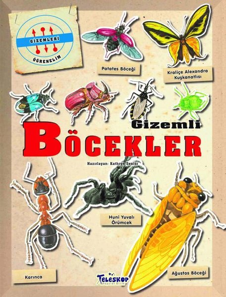 Gizemli Böcekler - Gizemleri Öğrenelim