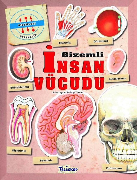 Gizemli İnsan Vücudu - Gizemleri Öğrenelim