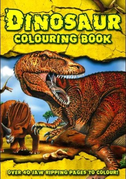 Dinosaur Colouring Book