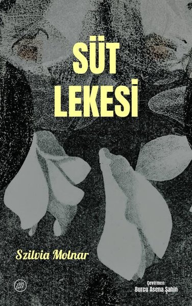 Süt Lekesi