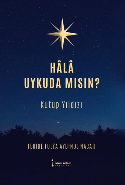 Hala Uykuda Mısın? Kutup Yıldızı