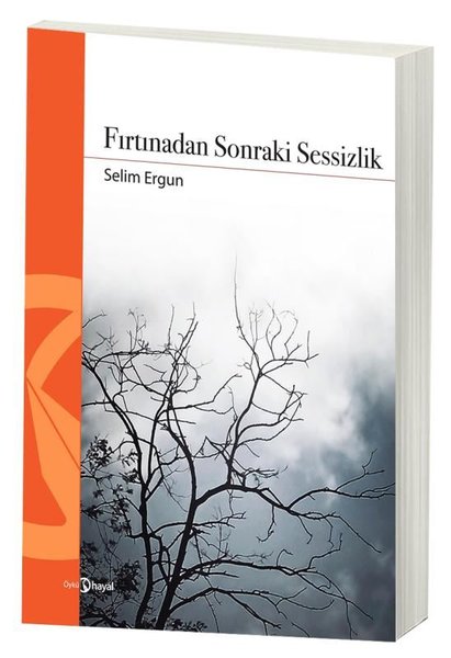 Fırtınadan Sonraki Sessizlik