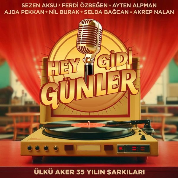 Ülkü Aker 35 Yılın Şarkıları Plak | D&R