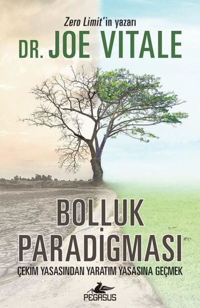Bolluk Paradigması: Çekim Yasasından Yaratım Ya...