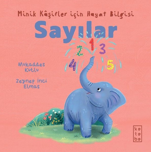 Sayılar - Minik Kaşifler İçin Hayat Bilgisi