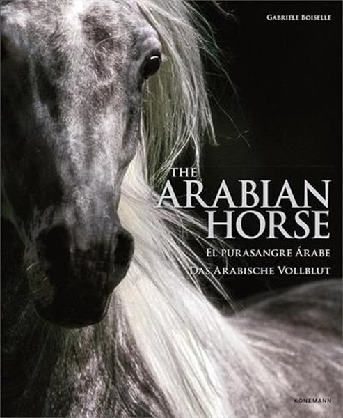 The Arabian Horses
