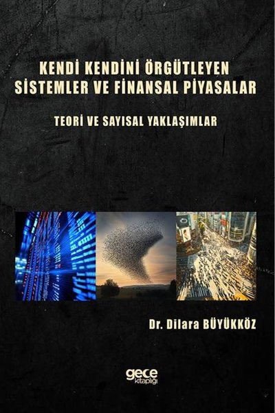 Kendi Kendini Örgütleyen Sistemler ve Finansal Piyasalar: Teori ve Sayısal Yaklaşımlar