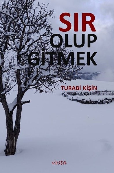 Sır Olup Gitmek