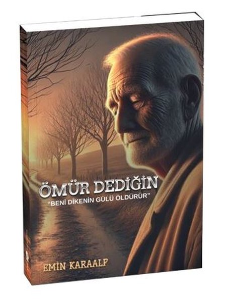 Ömür Dediğin