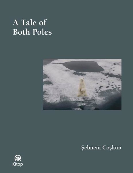 A Tale of Both Poles - Bez Ciltli
