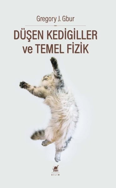 Düşen Kedigiller ve Temel Fizik