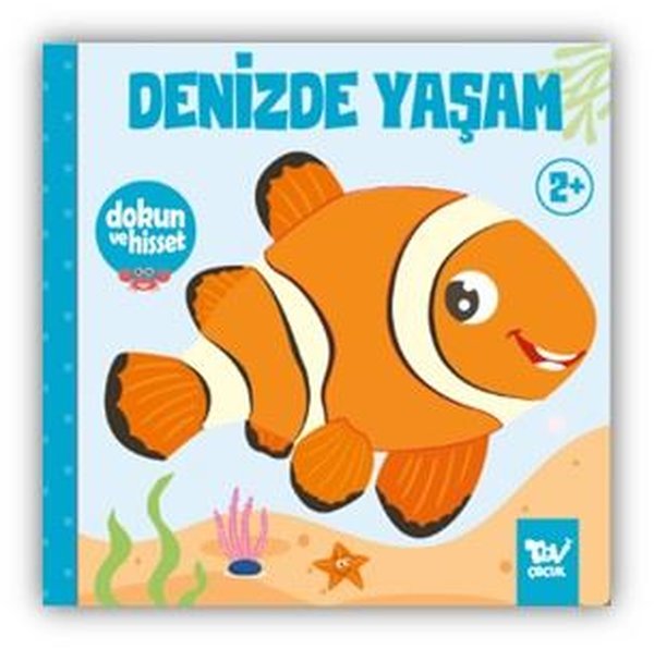 Denizde Yaşam - Dokun ve Hisset