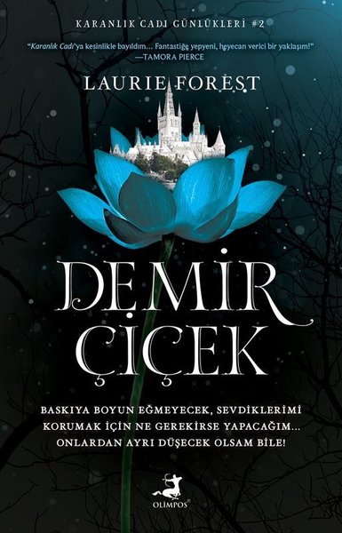 Demir Çiçek - Karanlık Cadı Günlükleri 2