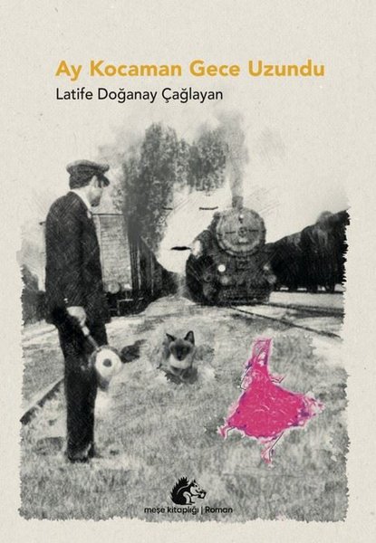 Ay Kocaman Gece Uzundu