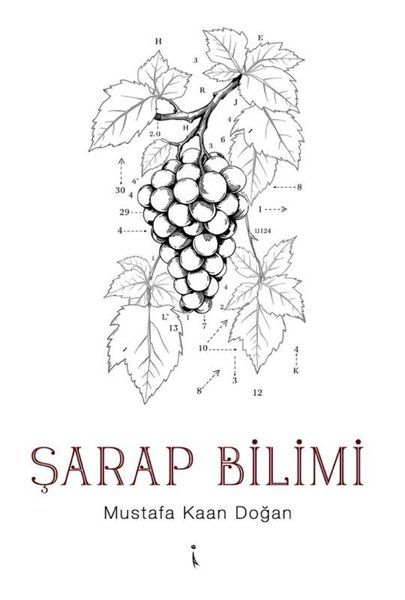 Şarap Bilimi
