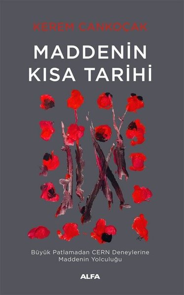 Maddenin Kısa Tarihi - Büyük Patlamadan CERN De...