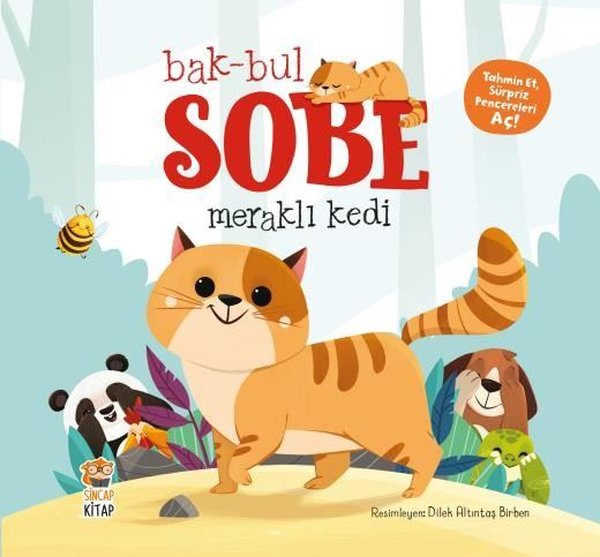 Bak - Bul - Sobe Meraklı Kedi