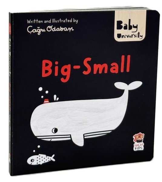 Big Small-Baby University First Concepts Stories