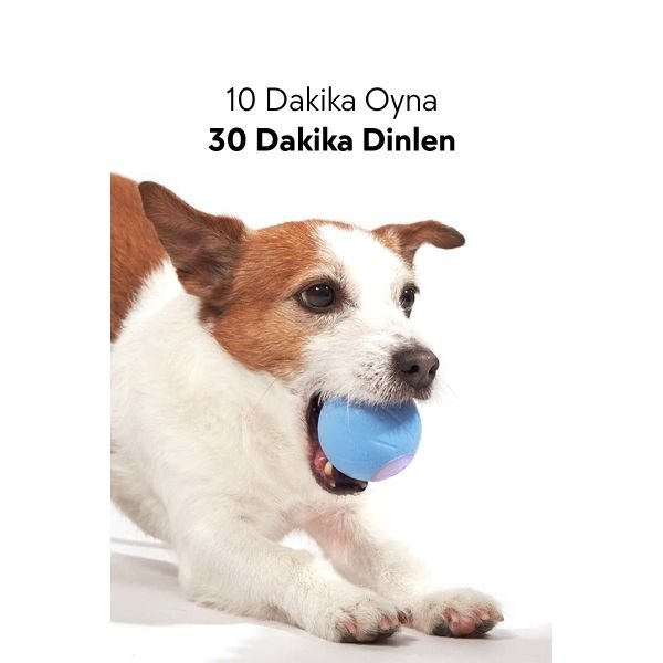 Cheerble Şarjlı Akıllı İnteraktif Köpek Oyun Topu