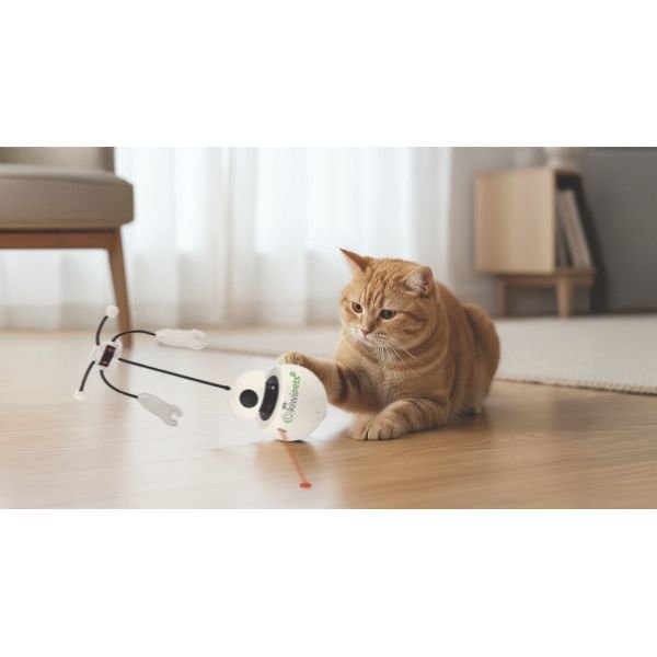 Kiwi Pets KPT-10640 Kedi Robot Aktivite Topu