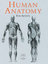 Human Anatomy For Artist