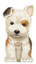 Little Puppy (Look at Me Books) (Board book)