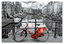 Educa 14846 Amsterdam The Netherlands 1000 Parça Puzzle