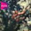 Obscured By Clouds (Discovery Album) 2011 - Remaster