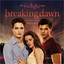 The Twilight Saga: Breaking Dawn Part:1