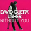 Without You (4 Tracks 12' Vinyl Single)